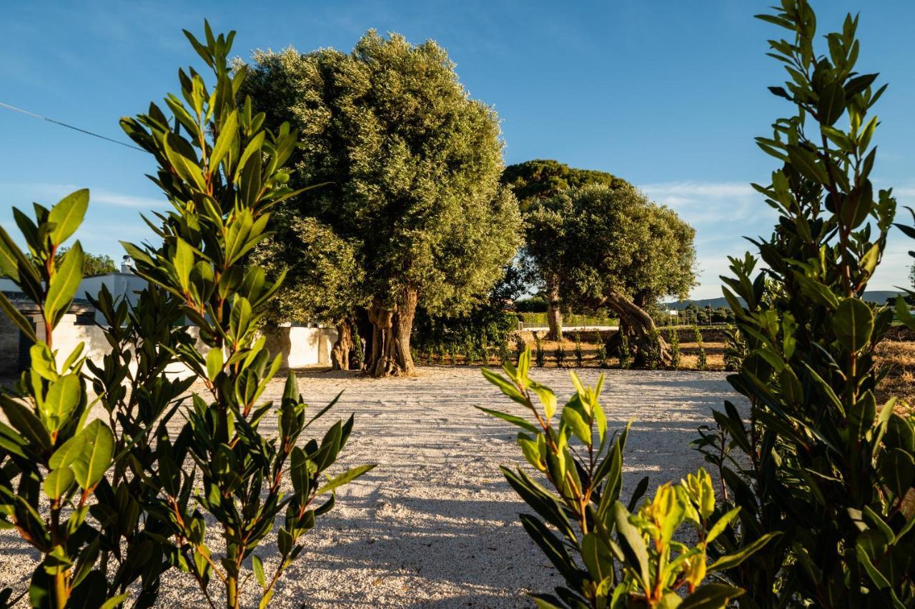 Il Pergolato Sul Mare Villa Monopoli Ngoại thất bức ảnh