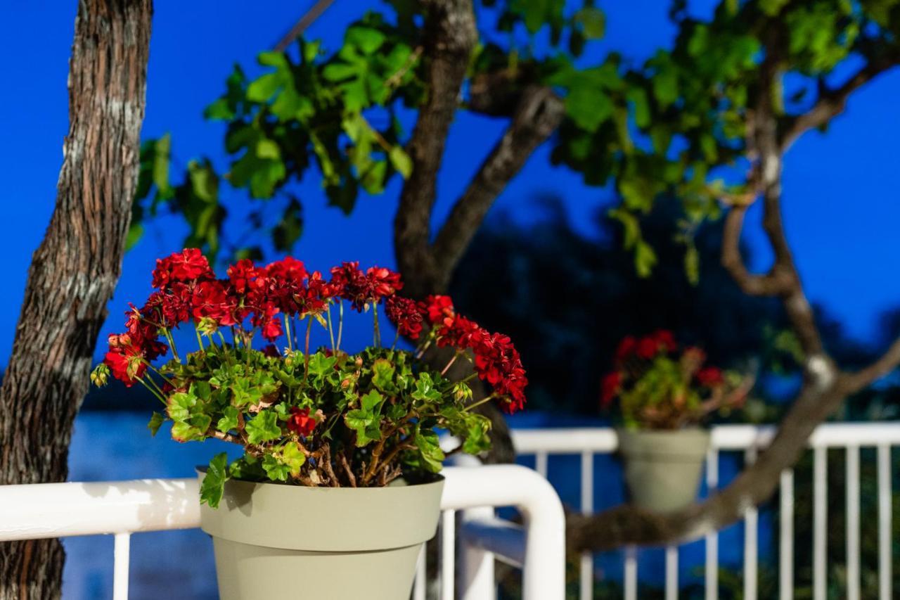 Il Pergolato Sul Mare Villa Monopoli Ngoại thất bức ảnh